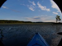 09-11-16-Mattawoman-26208