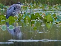 09-17-16-Piscataway-26373