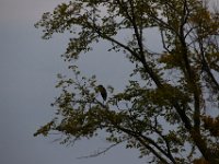 09-17-16-Piscataway-26620