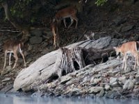 09-25-16-Rocky Gorge-27309