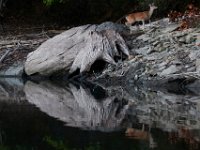 09-25-16-Rocky Gorge-27332