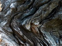 09-25-16-Rocky Gorge-27615