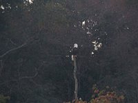 10-15-16-Federalsburg-VFW-28241