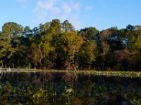 10-15-16-Federalsburg-VFW-28397