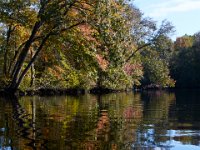 10-15-16-Federalsburg-VFW-28438