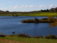 10-22-16-Larriland Farms-28589