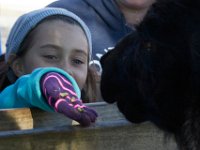 10-22-16-Larriland Farms-28621