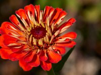 10-22-16-Larriland Farms-28853