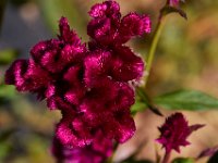 10-22-16-Larriland Farms-28903