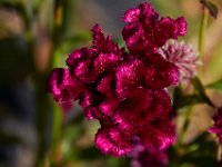 10-22-16-Larriland Farms-28905