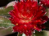 10-22-16-Larriland Farms-29020