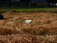 10-22-16-Larriland Farms-29131