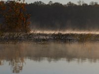 10-29-16-Mattawoman-20064