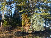 10-29-16-Mattawoman-20248