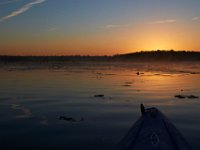 10-29-16-Mattawoman-29862