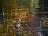 10-30-16-Broad Creek De-20736