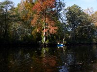 10-30-16-Broad Creek De-20781