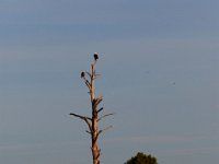 11-06-16-Blackwater-20946