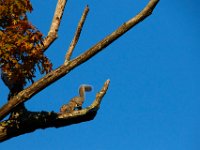 11-13-16-Piscataway-21755