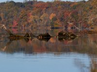 11-13-16-Piscataway-22031