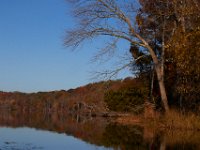 11-13-16-Piscataway-22050