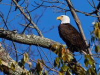 11-13-16-Piscataway-22214