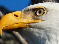 11-13-16-Piscataway-22258
