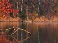 11-19-16-Nanjemoy-22614