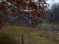 11-25-16-Patapsco Valley State Park-22832