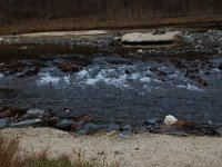 11-25-16-Patapsco Valley State Park-22841