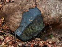 11-25-16-Patapsco Valley State Park-22906