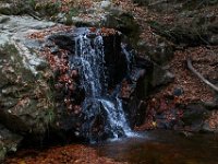 11-25-16-Patapsco Valley State Park-23006