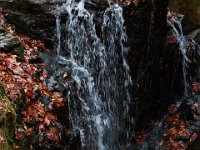 11-25-16-Patapsco Valley State Park-23040