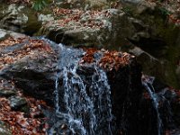 11-25-16-Patapsco Valley State Park-23044