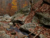 11-25-16-Patapsco Valley State Park-23049