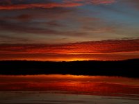 11-28-15-Mattawoman-28358