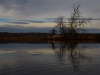 11-28-15-Mattawoman-28681