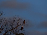12-16-15-Mattaponi-29474