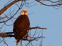 12-16-15-Mattaponi-29490