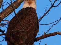 12-16-15-Mattaponi-29501
