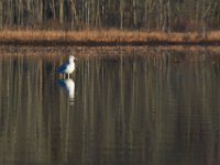 02-18-17-Mattawoman-23711