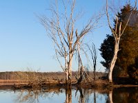 02-18-17-Mattawoman-23763