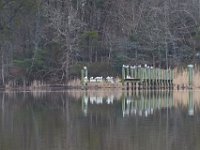 02-19-17-Nanjemoy-24074