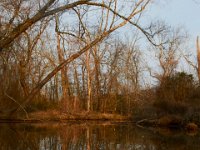 03-25-17-Piscataway-24366