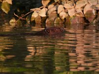 06-04-17-Piscataway-27204