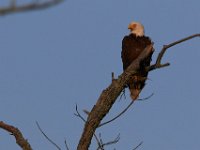 06-04-17-Piscataway-27305