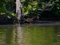 06-04-17-Piscataway-27454