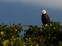 06-25-17-Piscataway-29577