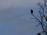 06-25-17-Piscataway-29626