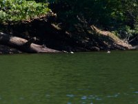 06-30-17-Rocky Gorge with T-29876